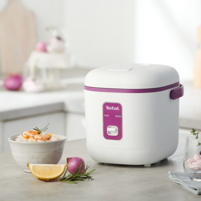 mini mechanical rice cooker 04l rk1721 240923021417 3